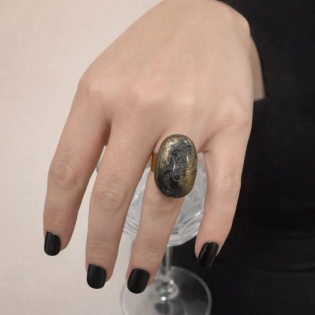 Anillo Negro Revuelta
