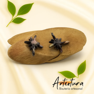 Pendientes Estrella Tierra