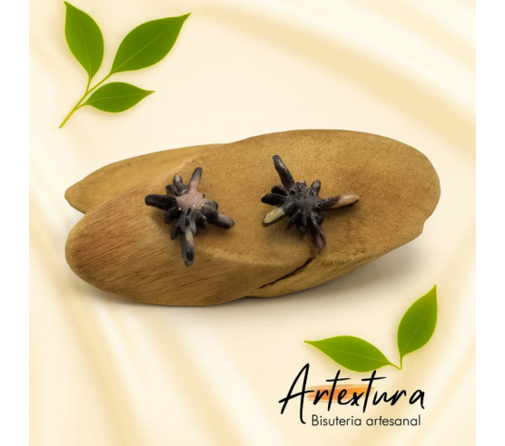 Pendientes Estrella Tierra