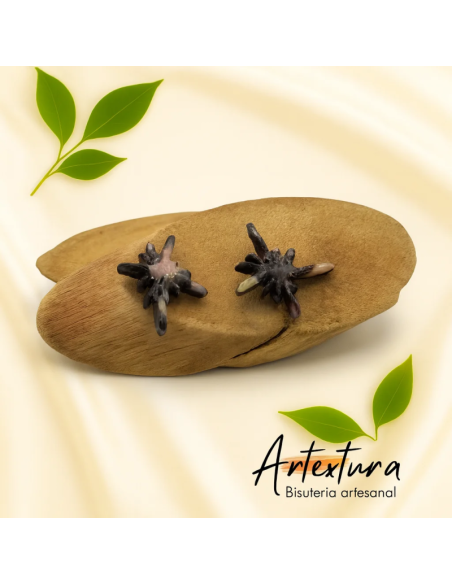 Pendientes Estrella Tierra
